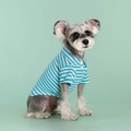Blue and white striped knit cotton polo shirt for small dogs and cats in a side view - Fine Blue Stripe