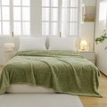 Grass green flannel blanket with 3D embossed butterfly pattern for all seasons - Fruit Green
