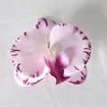 Testa di orchidea phalaenopsis rosa artificiale con motivi screziati viola per decorazioni - Pellicola 3D Viola N. 3 (Piccolo)