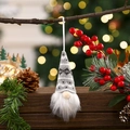 Detail of Christmas gnome ornament with knitted hat and plush beard on a festive branch - Gray Type C