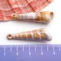 Acrylic conch shell charms in white and brown, 4cm length for DIY jewelry making - Cream Acrylic Conch 11x37mm (17281)