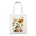 White canvas tote bag featuring vintage scientific frog and kingfisher illustration print - Vintage Flora and Fauna Style (STD27-F)