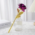 Single purple 24k gold foil rose flower in glass bottle with elegant lace decor - Gold Foil Rose - Purple