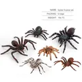 Realistic insect model toy set including six different spider species weighing 194.7g - Spider 6-Piece Set