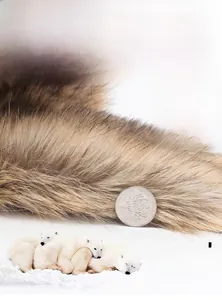Macro detail of three-layer thickened brown faux fur lining for winter trapper hat