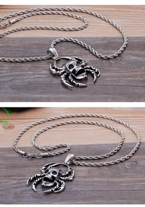 Macro shot of punk gothic spider skull pendant with silver twisted metal chain