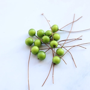 Artificial green berry branches for DIY crafts and pastoral home decoration on white background