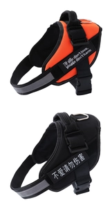 Detail showing breathable mesh dog harness with reflective strips and reinforced handle