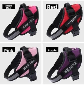 Macro detail of adjustable buckles and reflective straps on functional dog harnesses