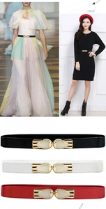 Detail view of 2.5cm elastic belt with elegant fish-shaped metal buckle in three colors