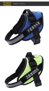 Close-up of adjustable dog harness with reflective strips and durable top handle