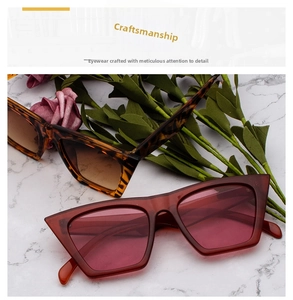 Nahaufnahme der stylischen Schildpatt- und transparent roten Oversized-Cateye-Sonnenbrillen