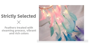 Detail of colorful dream catcher feathers with LED lights and bead accents