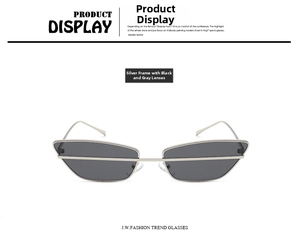 Detail of silver metal frame sunglasses with dark grey lenses and a trendy horizontal bar