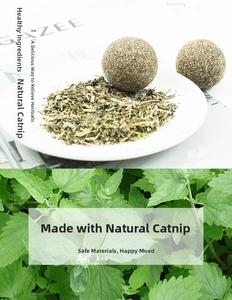 Detail of compressed natural catnip balls and dried leaves for pet dental health