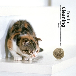 Macro detail of catnip dental ball with a kitten focusing on the natural fiber texture