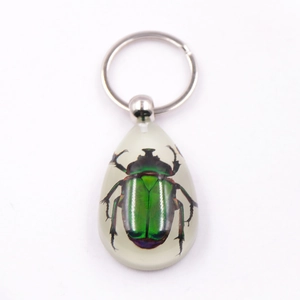 Macro shot of real metallic green beetle specimen encased in clear teardrop resin keychain