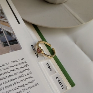 Detailed view of 925 silver gold heart ring with purple stones on an open book