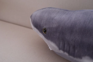Macro shot of grey shark plush toy showing realistic eye and sharp white teeth detail