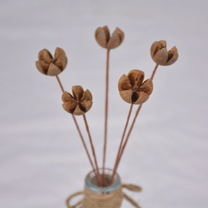 Dettaglio macro di cinque baccelli di fiori secchi in un vaso di vetro con corda di iuta