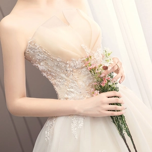 Elegant champagne tube top wedding dress with lace embroidery and sequin detailing