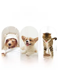 Détails des poils d'animaux sur oreillers et tapis avec scènes de chiens et chats