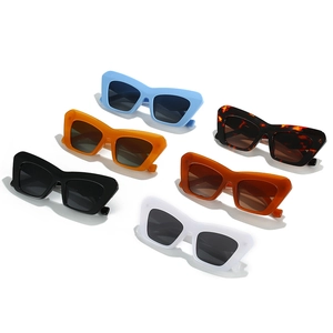 Set of six trendy thick frame cat-eye sunglasses in various colors on white background
