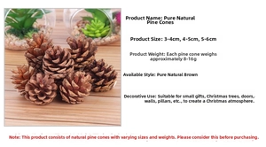 Macro shot of natural brown pine cones in sizes 3-6cm for Christmas DIY decor