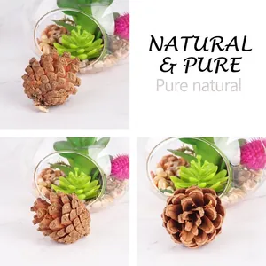 Macro detail of natural brown pine cones in various shapes for Christmas DIY decor