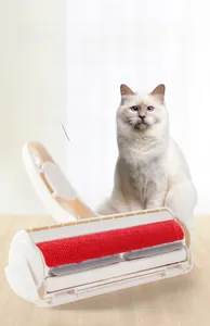 Détail de la brosse anti-poils blanche avec surface électrostatique rouge sur parquet