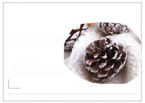 Macro detail of natural pine cone with white frosted snowy edges on soft white texture
