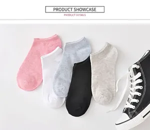 Flat lay of five assorted candy-colored cotton no-show socks for women on white surface
