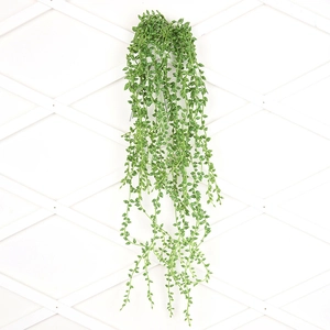 Detailed view of artificial green succulent hanging vines with round beads on a white wall