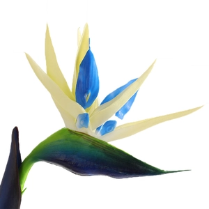 Single stem artificial Bird of Paradise flower in cream and blue for home decoration