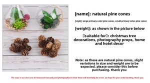 Detailed comparison of large and small natural pine cones for Christmas DIY and decor