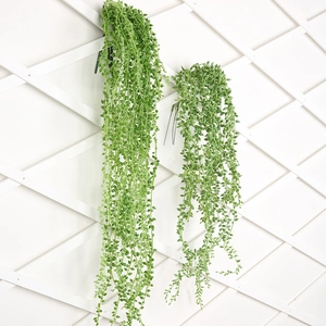 Artificial succulent hanging vines for wall decor featuring realistic green bead pearls