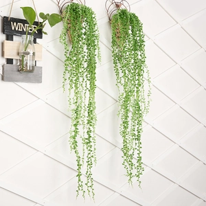 Artificial hanging succulent plant with green trailing vines and realistic pearls
