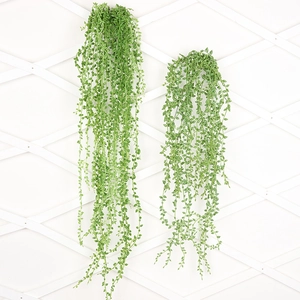 Detail of two artificial hanging succulents with realistic green pearl-shaped leaves