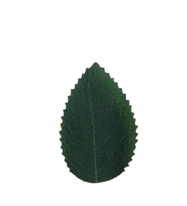 Macro detail of dark green artificial rose leaf with realistic fabric texture and serrated edges