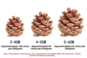 Size comparison chart for natural pine cones showing 3-4cm, 4-5cm, and 5-6cm specifications