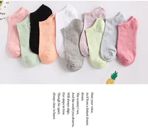 Detailed set of 10 pairs of cotton ankle socks in various macaron colors for women