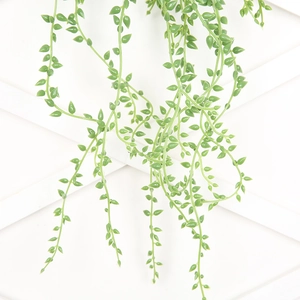 Macro detail of artificial green succulent vines with hanging pearls on white trellis