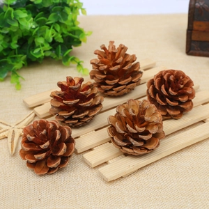 Five natural brown pine cones displayed on bamboo mat with burlap background for Christmas decor