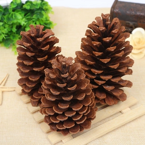 Three large natural brown pine cones arranged as rustic home decor for Christmas DIY projects
