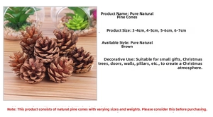 Macro detail of natural brown pine cones in various sizes for Christmas wreath DIY crafts