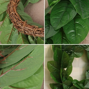 Green Magnolia leaf wreath with a natural rattan base for seasonal home and window decor