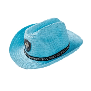 Light blue woven straw cowboy hat with a cattle skull badge and patterned black band