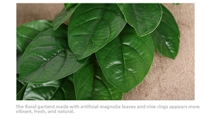 Macro shot of realistic green magnolia leaves with natural veins on a woven rattan ring