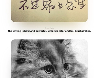Detailed pencil sketch of a realistic cat showing fine fur textures and artistic lines