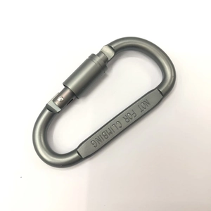 Detail view of gunmetal D-ring carabiner with 'NOT FOR CLIMBING' safety text engraving